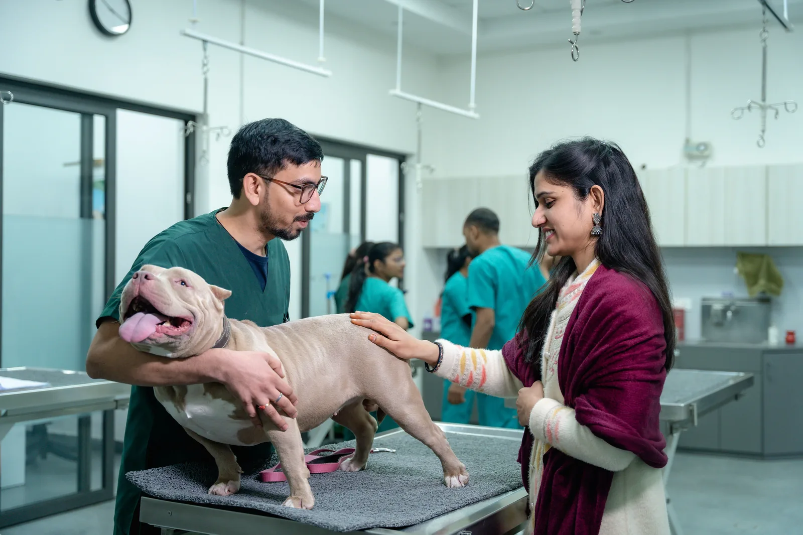 Veterinary software for animal clinics Â